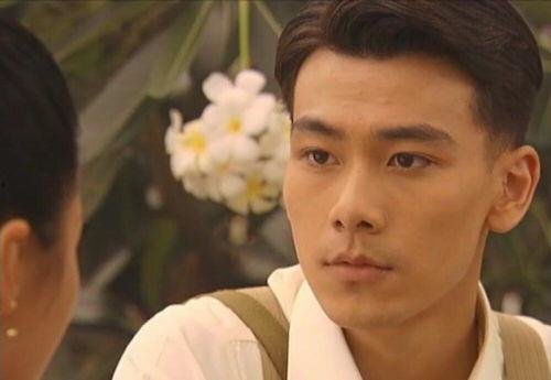 戴向宇主演电视剧大全,戴向宇影视生涯精彩剧作集锦